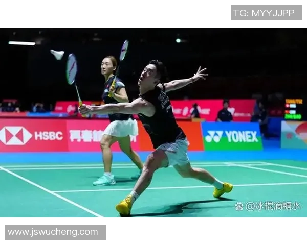 南京羽毛球队在全国羽毛球耐力排行榜中荣获第五名展现出强大实力与潜力